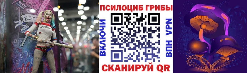 Галлюциногенные грибы Psilocybine cubensis  купить наркотики сайты  Островной 
